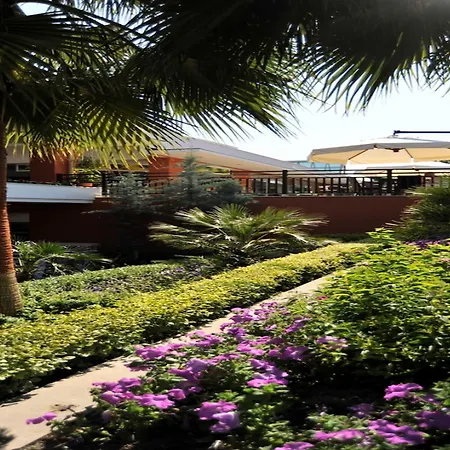 Barut B