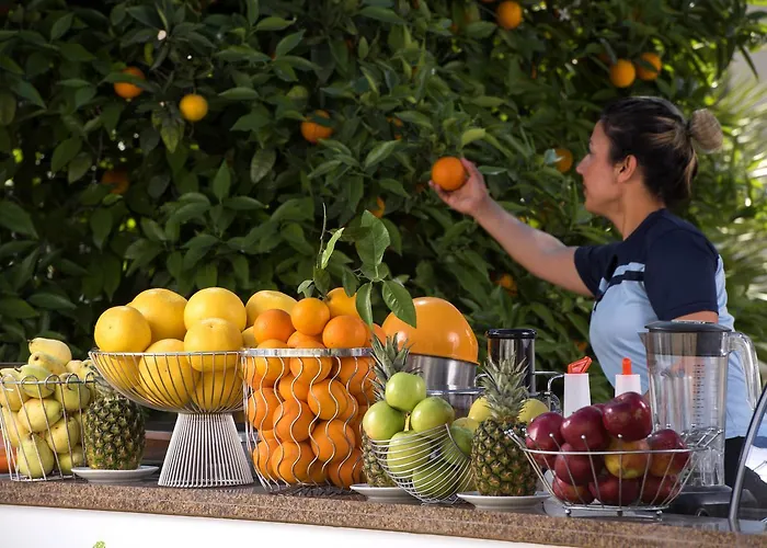 度假村 Barut B 锡德