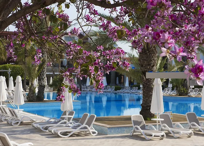 Barut B リゾート シダ